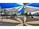 Playground shaded by blue and beige canopies, featuring slides and play structures at 3909 W Eden Roc Cir, Tampa, FL 33634