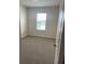 Bright bedroom featuring neutral carpet, natural light from a window, and fresh, neutral paint at 2754 Pearly Banks Dr, Bradenton, FL 34208