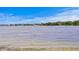 Scenic view of the lake showing off the beautiful waterfront property at 11710 N Armenia Ave, Tampa, FL 33612