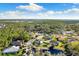 Aerial view of property showcasing the home's location near a pond at 7876 Marsh Pointe Dr, Tampa, FL 33635