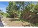 Backyard with lots of privacy from all the trees and shrubbery at 11321 Flora Springs Dr, Riverview, FL 33579