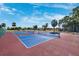 Outdoor pickleball courts with lush greenery, offering a recreational area for community members to enjoy at 2825 Terra Ceia Bay Blvd # 1902, Palmetto, FL 34221
