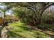 Expansive backyard featuring a lush lawn, mature trees and a natural wooded perimeter at 8907 Casablanca Way, Tampa, FL 33626