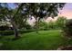 Expansive backyard with lush green lawn and mature trees offering privacy at 6020 Kestrel Point Ave, Lithia, FL 33547