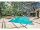 Large screened-in pool with hot tub and wooded backyard at 823 Scenic Heights Dr, Brandon, FL 33511