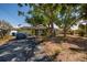 View of the front of the home with mature trees, a driveway, and a tidy front yard at 9439 Sun Isle Ne Dr, St Petersburg, FL 33702