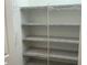 Walk-in pantry with custom shelving for optimal storage and organization at 17241 Old Tobacco Rd, Lutz, FL 33558