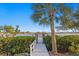 Picturesque dock leading to the water surrounded by lush greenery and a palm tree at 337 Coffee Pot Ne Dr, St Petersburg, FL 33704