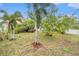 Lush backyard with lawn, trees, and garden seating, perfect for relaxing at 534 19Th Nw St, Ruskin, FL 33570