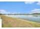 Scenic view of the large pond in the backyard with plenty of trees at 534 19Th Nw St, Ruskin, FL 33570