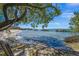 Secluded beach with clear water, a chair, and an overhanging tree creating a serene and inviting coastal atmosphere at 3987 Maceachen Blvd # 133, Sarasota, FL 34233