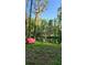 Scenic backyard view of pond surrounded by lush greenery and a red boat at 19018 Geraci Rd, Lutz, FL 33548