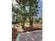 Spacious backyard featuring mature trees and a brick patio at 19018 Geraci Rd, Lutz, FL 33548