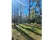 Beautiful wooded backyard with a serene lake view, mature trees, and lush greenery at 19018 Geraci Rd, Lutz, FL 33548