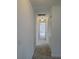 Bright hallway with carpet flooring, white walls, and closet space, leading to bedrooms at 19018 Geraci Rd, Lutz, FL 33548