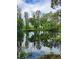 A tranquil pond surrounded by lush greenery, offering a peaceful view and natural beauty at 19018 Geraci Rd, Lutz, FL 33548
