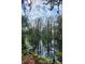 A tranquil pond surrounded by lush vegetation and tall trees offers a serene natural view at 19018 Geraci Rd, Lutz, FL 33548