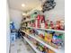 Pantry with shelving stocked with food and supplies at 27500 Breakers Dr, Wesley Chapel, FL 33544