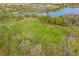 Aerial view showcasing the community soccer field beside a tranquil lake in a lush, green environment at 9303 Wellington Park Cir, Tampa, FL 33647