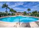 Resort-style pool with lounge chairs and tropical landscaping, perfect for relaxation and leisure at 8086 Annwood Rd, Seminole, FL 33777