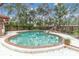 Inviting backyard pool with mature landscaping, brick edging, and waterfall feature at 1545 Park N St, St Petersburg, FL 33710