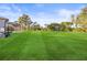 Vast, well-maintained backyard with lush green grass, offering ample space for recreation and outdoor activities at 10920 Flint Estates Dr, Thonotosassa, FL 33592