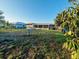 Expansive backyard with a covered patio area and mature fruit trees at 27064 Omni Ln, Punta Gorda, FL 33983