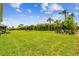 Lush backyard with well-manicured lawn and landscaped borders, perfect for outdoor activities at 5283 Everlong Dr, Apollo Beach, FL 33572