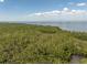 Lush mangrove conservation area with distant view of water and blue skies at 12077 Gandy N Blvd # 344, St Petersburg, FL 33702
