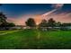 Lawn near lake features a canoe rack with trees silhouetted by a sunset at 2258 World Parkway W Blvd # 8, Clearwater, FL 33763