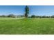 Lush green golf course with tall pine trees and blue skies at 2258 World Parkway W Blvd # 8, Clearwater, FL 33763