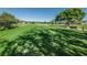 Beautiful golf course with mature trees and meticulously striped fairways at 2258 World Parkway W Blvd # 8, Clearwater, FL 33763