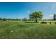 Scenic view of the lush green golf course with mature trees and blue sky at 2258 World Parkway W Blvd # 8, Clearwater, FL 33763