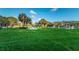 Scenic community grounds with lush green lawn, trees, and an outdoor amenity at 2258 World Parkway W Blvd # 8, Clearwater, FL 33763