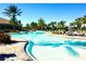 Resort style pool with ample seating, palm trees, and lounge chairs for ultimate relaxation in the sun at 5426 Rushmere Ct, Palmetto, FL 34221