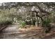 View of the property entrance with mature trees creating a serene, natural canopy at 5211 Lake Venice Dr, Wimauma, FL 33598