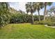 Expansive backyard with lush green lawn, mature trees, and privacy landscaping at 16403 Zurraquin De Avila, Tampa, FL 33613