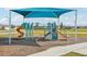 Shaded playground with colorful equipment, slides, and climbing structures, perfect for active children at 31814 Oyster Trellis Ln, Wesley Chapel, FL 33545