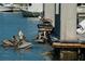 Beautiful waterfront with brown pelicans sitting and swimming in clear, blue water at the docks at 5166 39Th S St, St Petersburg, FL 33711