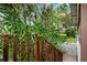 Backyard lush green space with mature trees and landscaping at 832 13Th N Ave, St Petersburg, FL 33701