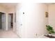 Hallway with neutral walls, carpet, white trim and doors, and plant accent at 11125 Winthrop Lake Dr, Riverview, FL 33578