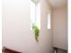 Bright hallway adorned with natural light and a charming potted plant, enhancing the ambiance of the home at 11125 Winthrop Lake Dr, Riverview, FL 33578
