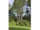 A shot of dense Florida trees that offer privacy and shade on a sunny day at 12127 Luftburrow Ln, Hudson, FL 34669