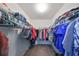 A walk-in closet with built-in shelving and hanging rods for ample storage at 12127 Luftburrow Ln, Hudson, FL 34669