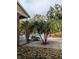 View of the community pool area showcasing palm trees, lounge chairs, and attractive landscaping at 8702 Mallard Reserve Dr # 104, Tampa, FL 33614