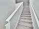 Carpeted staircase with white railing at 6834 Blue Moon Way, Sun City Center, FL 33573