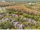 Aerial view of neighborhood surrounded by trees and a lake in the distance at 2160 Chianti Pl # 11-0117, Palm Harbor, FL 34683