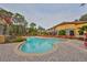 A large community pool area with lounge chairs, landscaping, and a seating area at 2160 Chianti Pl # 11-0117, Palm Harbor, FL 34683