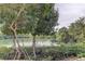 Backyard view featuring lush green mangroves by the water at 7050 Sunset S Dr # 208, South Pasadena, FL 33707