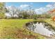 Property featuring a scenic pond reflecting mature trees, complemented by a lush, green lawn and a quaint house at 3009 Jim Johnson Rd, Plant City, FL 33566
